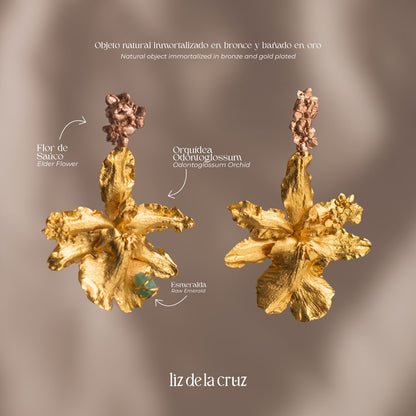 Aretes de Saucos & Orquídea Odontoglossum Esmeralda, con flores naturales inmortalizadas en bronce con baños de oro rosado y de 24k