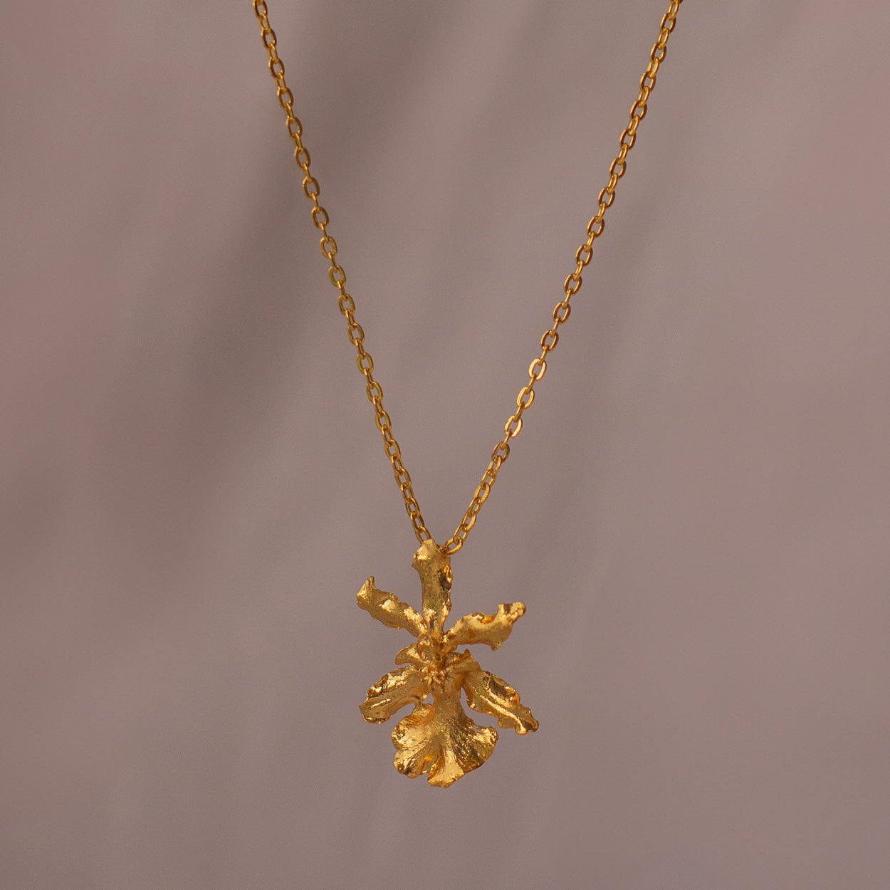 Collar Orquídea Oncidium Chocolate en bronce bañado en oro de 24k, destacando la belleza única de las flores inmortalizadas.