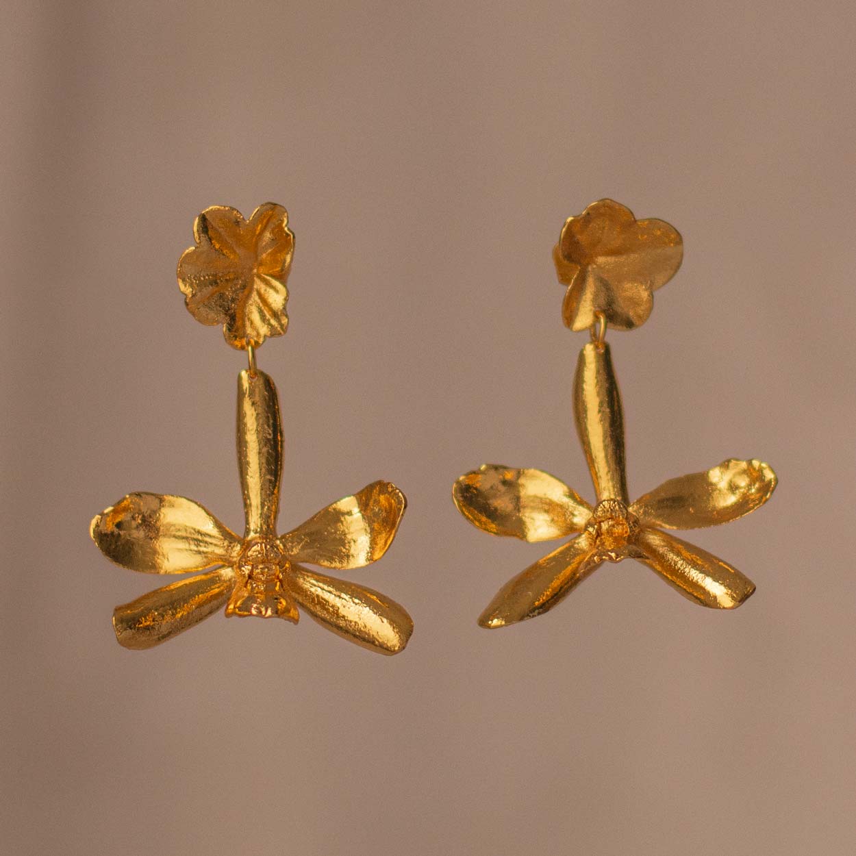 Aretes Orquídea P Crassilabia Hoja Hiedra en bronce bañado en oro de 24k, con detalles naturales inmortalizados