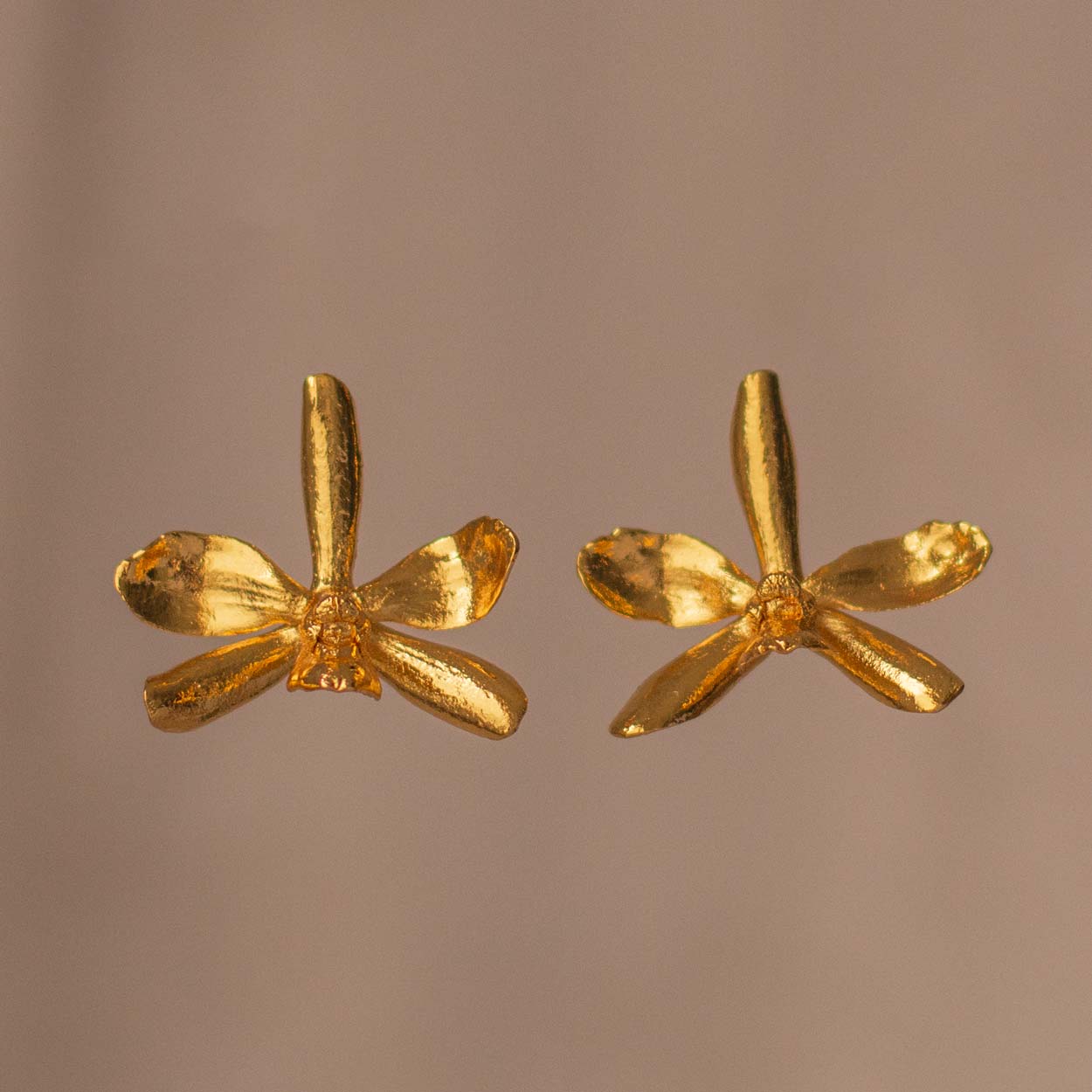 Aretes Orquídea P Crassilabia en bronce bañado en oro de 24k, destacando la belleza exótica de las flores inmortalizadas