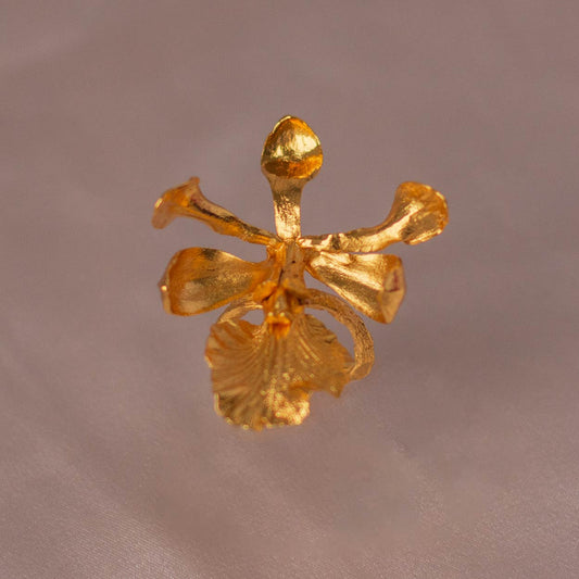 Anillo Orquídea Encyclia Cordigera en bronce bañado en oro de 24k, con flor natural inmortalizada
