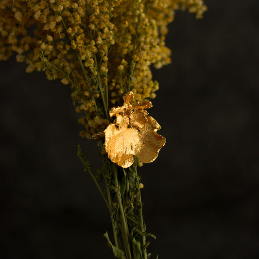 Anillo Orquidea Dama Danzante